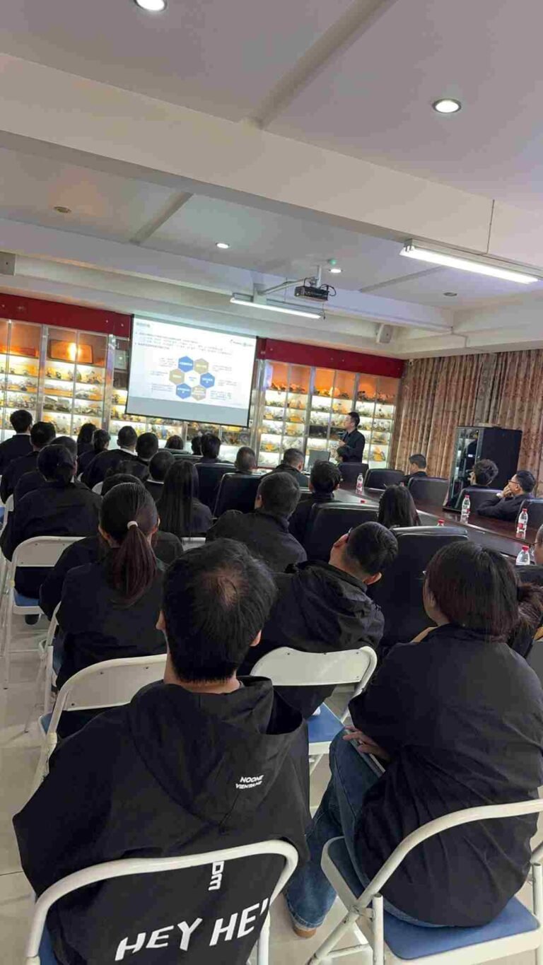 Digital Evolution, Embarking on a New Future!